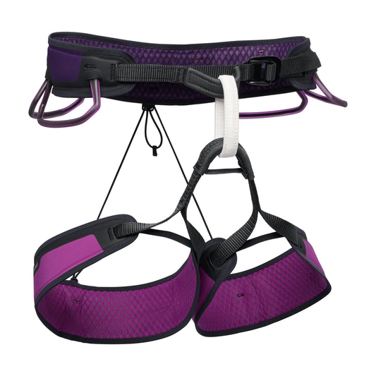 Men's Zone Harness | Black Diamond Classic