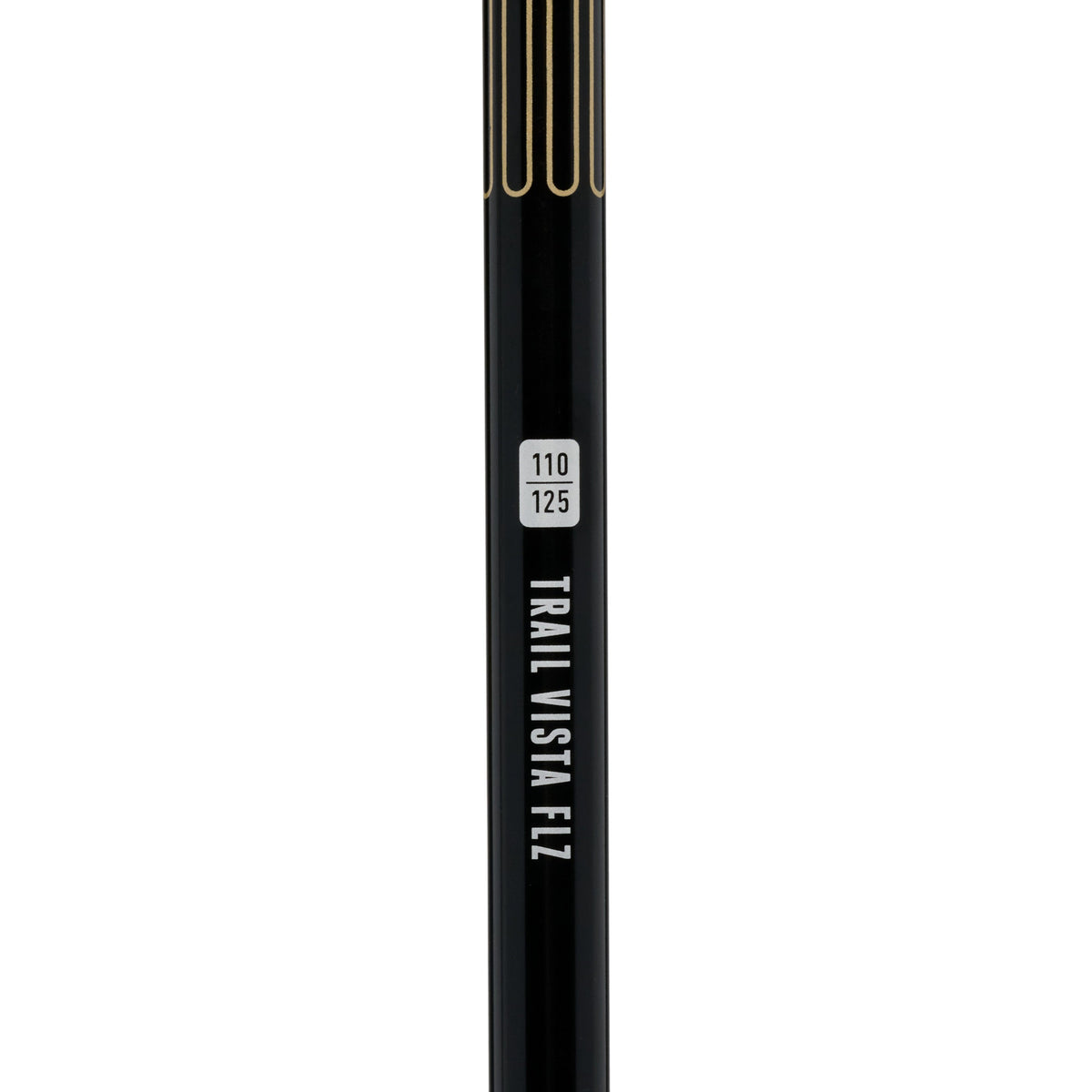 Trail Vista FLZ Trekking Poles | Black Diamond Classic