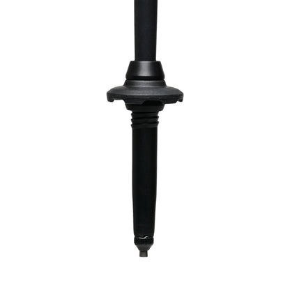 Alpine Carbon Cork Trekking Poles | Black Diamond Everyday
