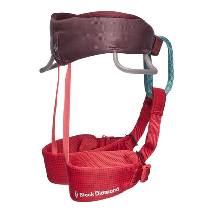Kids' Momentum Harness | Black Diamond Exclusive