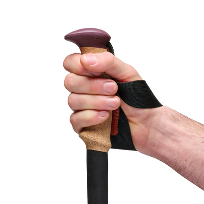 Trail Cork Trekking Poles | Black Diamond Recommended