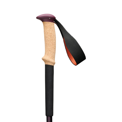 Trail Cork Trekking Poles | Black Diamond Recommended