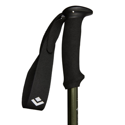 Explorer 3 Trekking Poles | Black Diamond Everyday