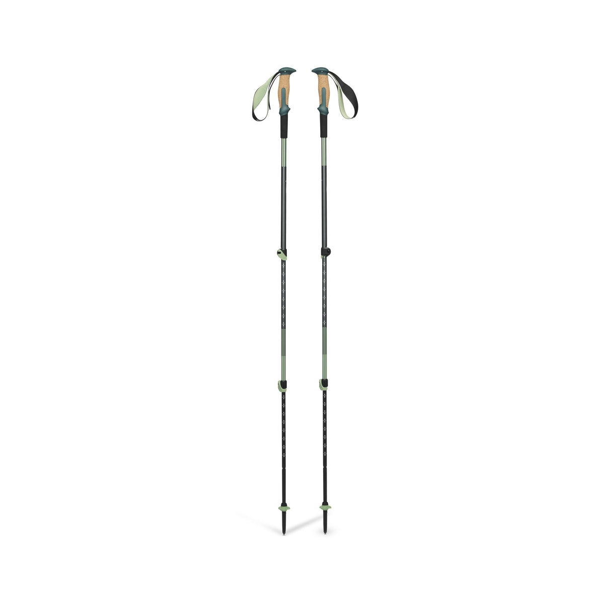 Trail Vista Shock Trekking Poles | Black Diamond Best Seller