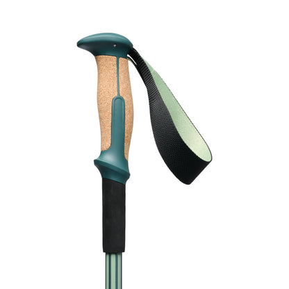 Trail Vista Shock Trekking Poles | Black Diamond Best Seller